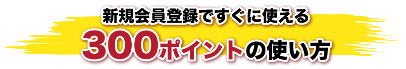 新規会員登録ですぐに使える300ポイントの使い方